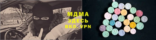 мдпв Богородицк