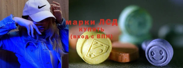 мдпв Богородицк