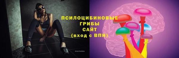 ПСИЛОЦИБИНОВЫЕ ГРИБЫ Вуктыл