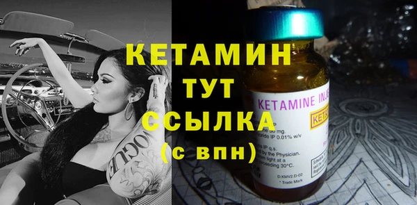шишки Богородск