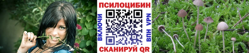 Галлюциногенные грибы Magic Shrooms  ссылка на мегу зеркало  Кубинка 