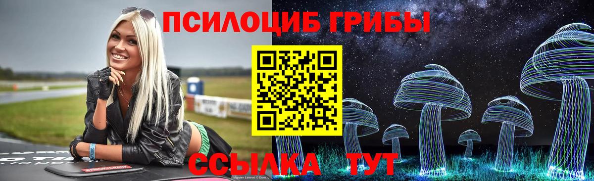 Галлюциногенные грибы Psilocybine cubensis  наркотики  Кубинка  Вход с VPN 