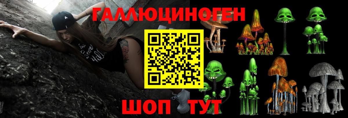 Галлюциногенные грибы GOLDEN TEACHER Кубинка